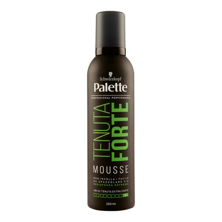 PALETA MOUSSE FIJACIÓN FUERTE 250 ML