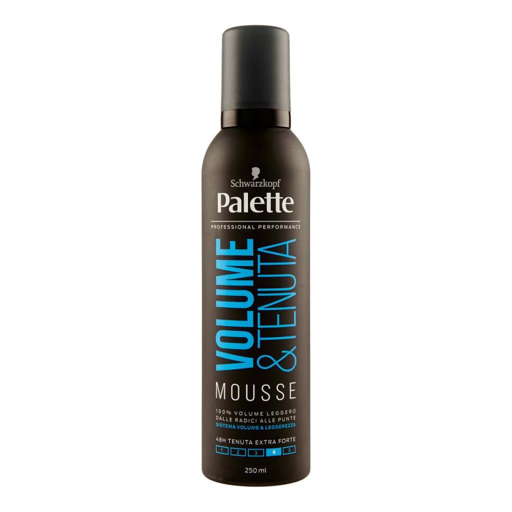 PALETA MOUSSE HOLD VOLUMEN 250 ML