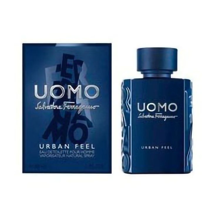 Salvatore Ferragamo Hombre Urban Feel Eau De Toilette Vaporizador 100ml
