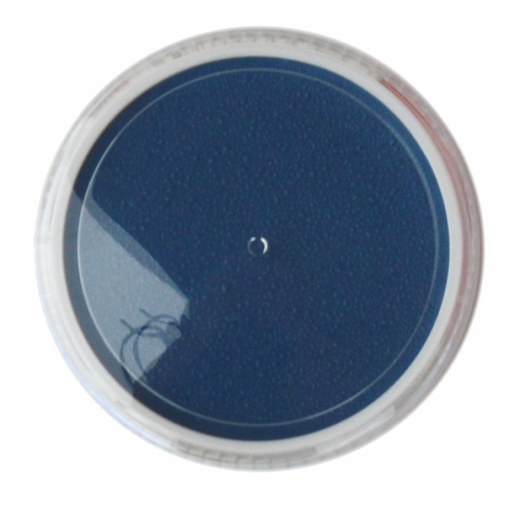 Mario Giussani Colors For Fan Pasta Antigrasa 15 ml azul