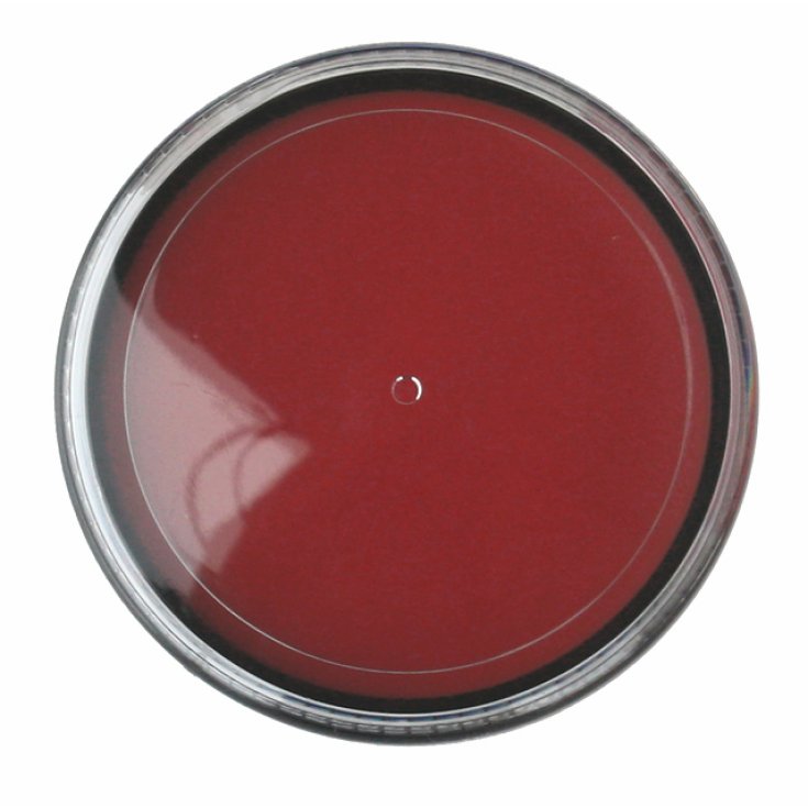 Mario Giussani Colors For Fan Greasepaint en Pasta 15 ml rojo brillante