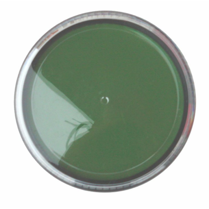 Mario Giussani Colors For Fan Greasepaint en Pasta 15 ml verde
