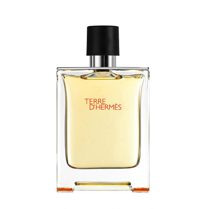 Terre D Hermès Eau De Toilette Vaporizador 500ml