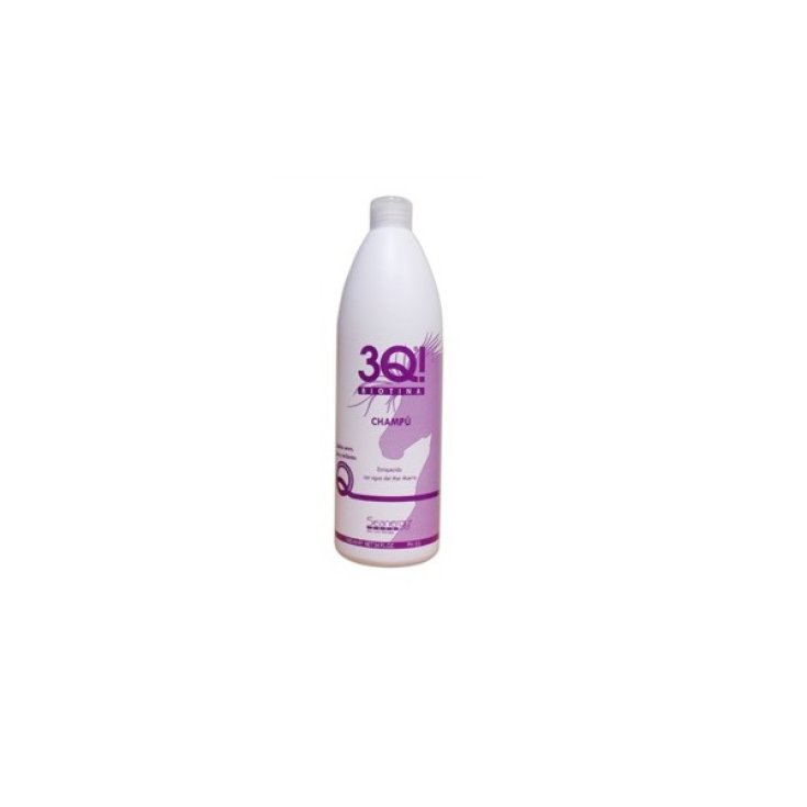 Seenergy 3q Champú 1000ml