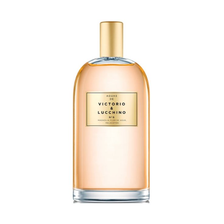 Aguas De Victorio & Lucchino N6 Eau De Toilette Vaporizador 150ml