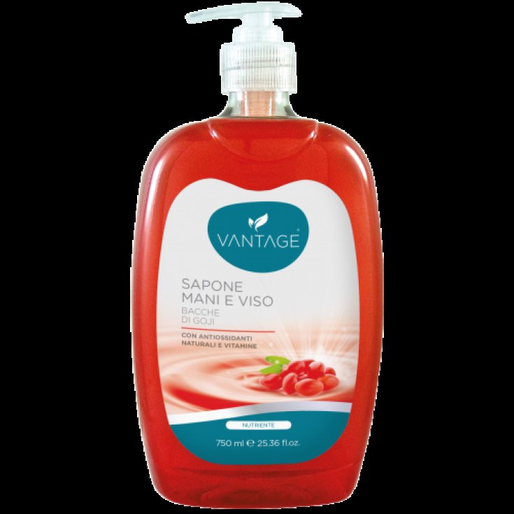 * VANTAGE SAP MANOS Y CARA B GOJI 750