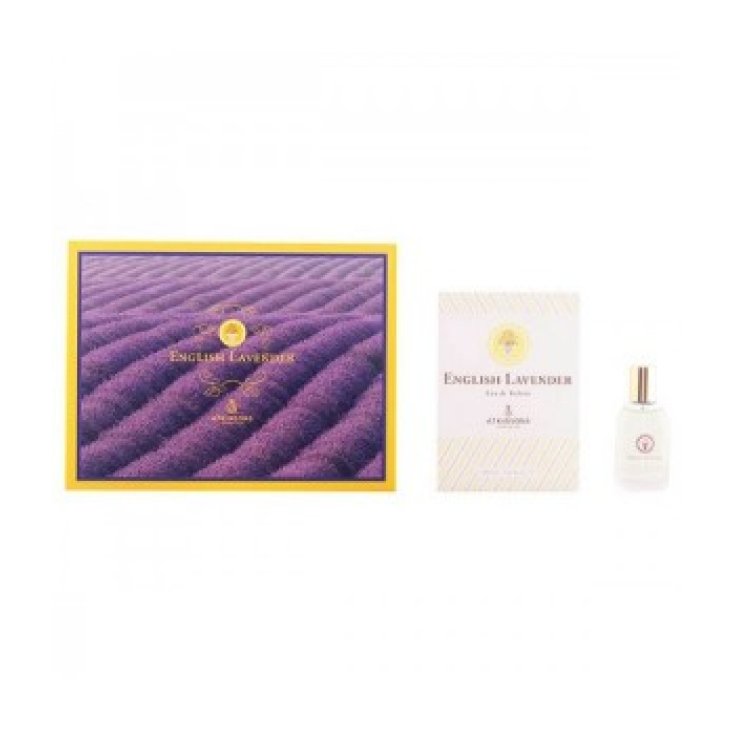 VANTAGE GEL HIGIENIZANTE 100ML