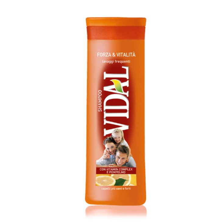 VIDAL SH FUERZA Y VITALIDAD 250 ML