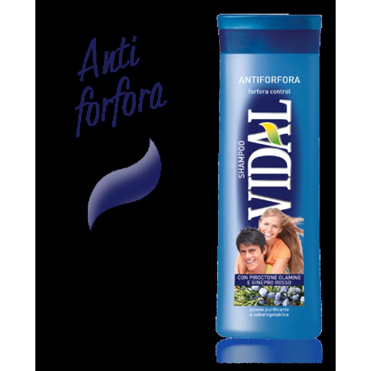 VIDAL SH ANTICASPA 250 ML