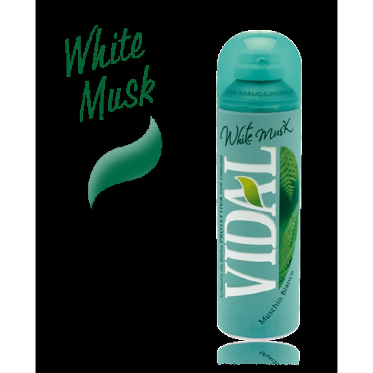 VIDAL ESPUMA BARBA WILD MUSK 300