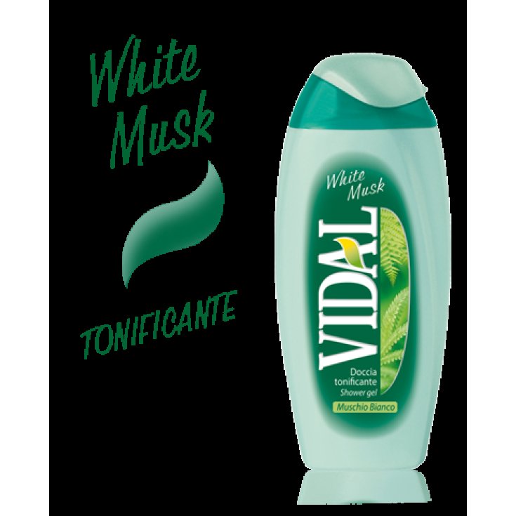 VIDAL D/S MUSK SALVAJE 250 ML