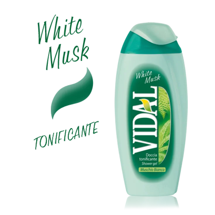 VIDAL D/S MUSK SALVAJE 250 ML