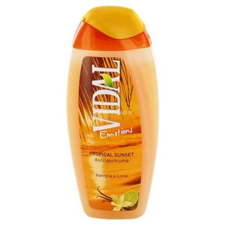 VIDAL D/S VAINILLA Y LIMA 250 ML