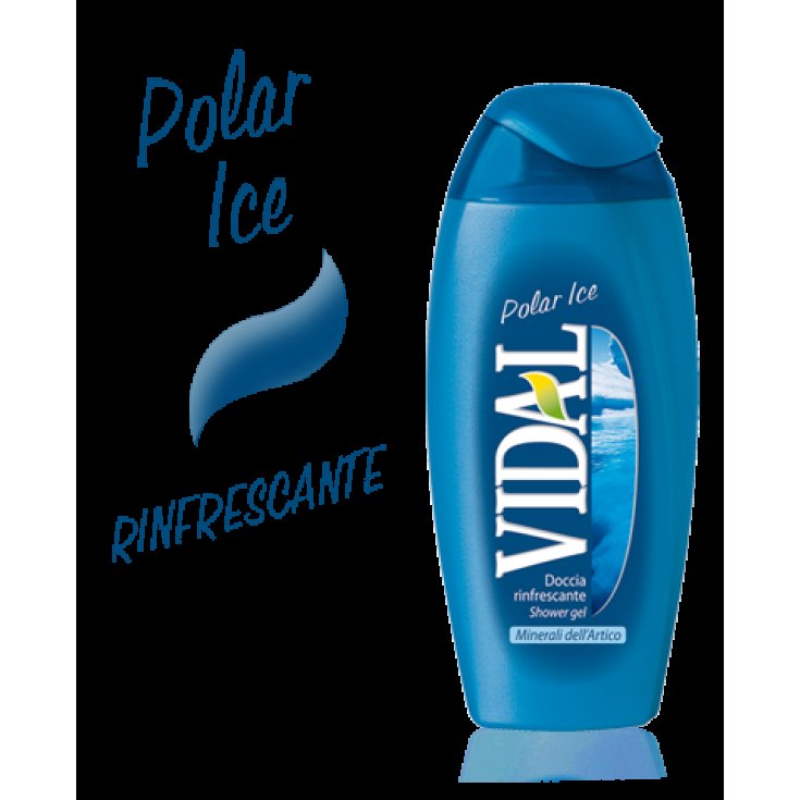 VIDAL D/S HIELO POLAR 250 ML