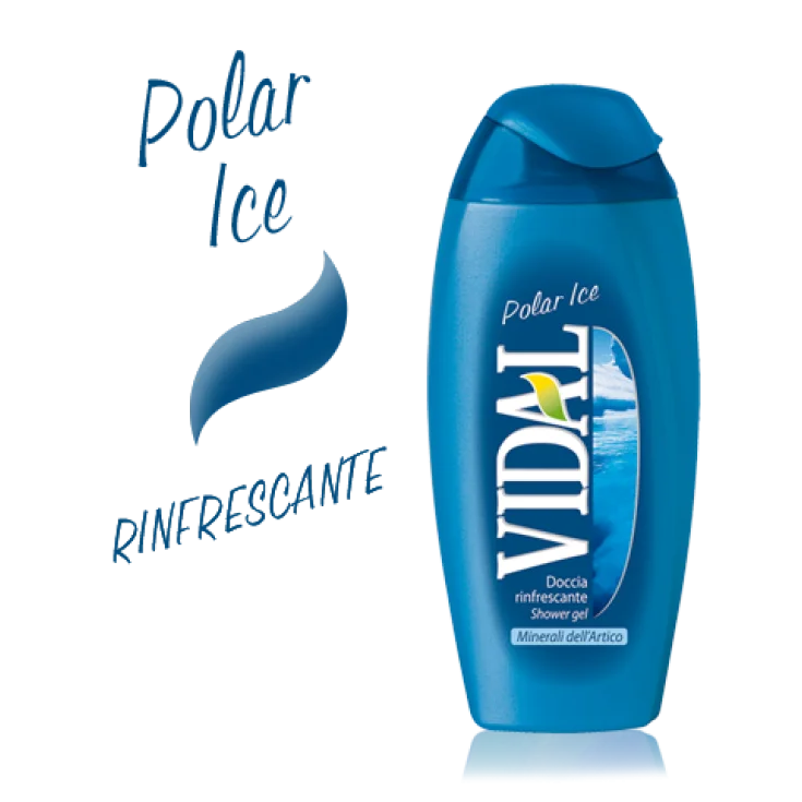 VIDAL D/S HIELO POLAR 250 ML
