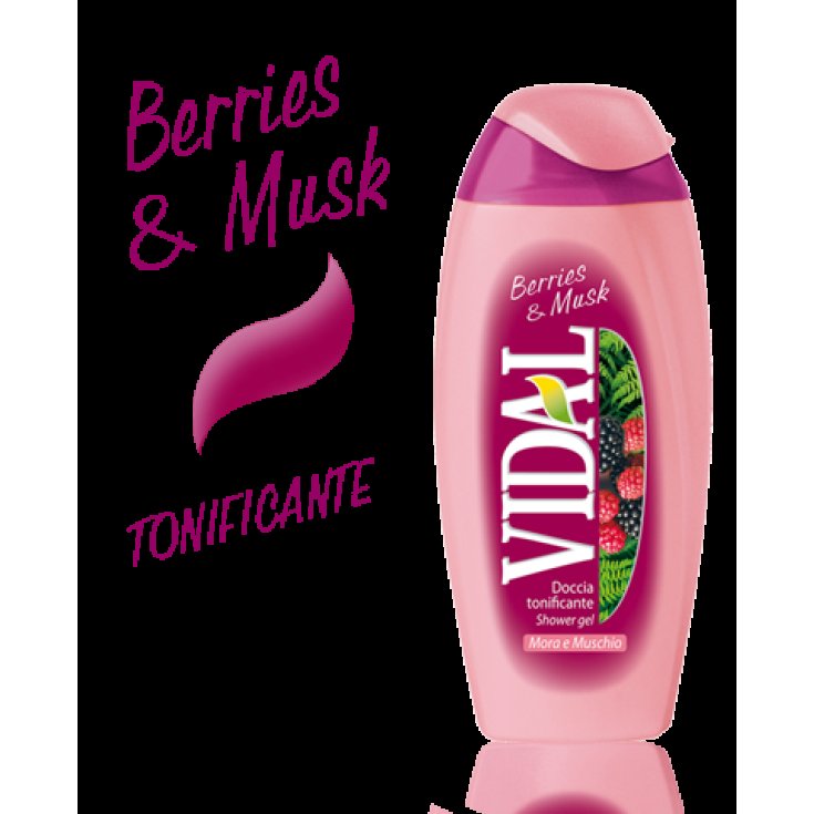 VIDAL D/S MORA Y MUSGO 250 ML