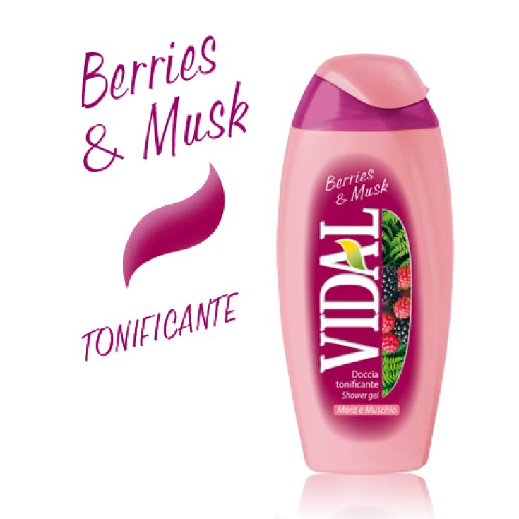 VIDAL D/S MORA Y MUSGO 250 ML
