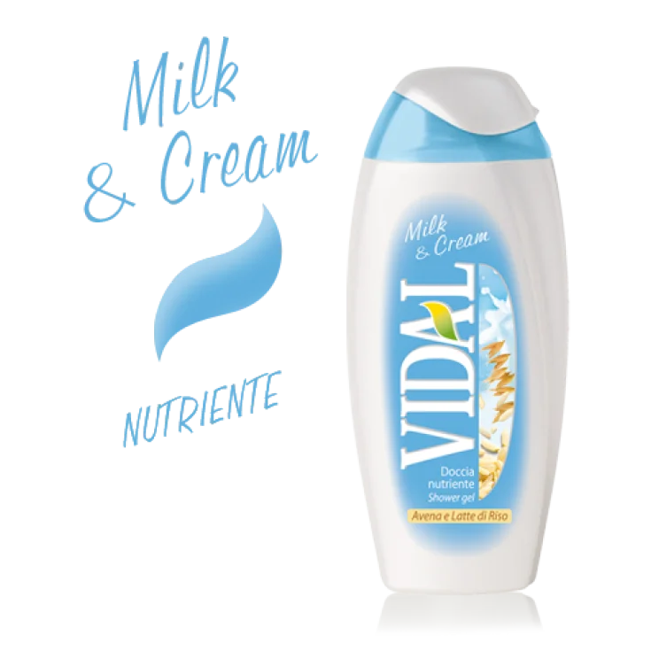 VIDAL D/S LECHE Y CREMA 250 ML
