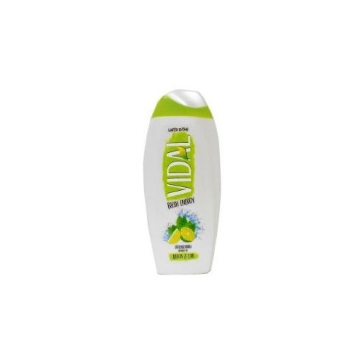 VIDAL D/S MENTA Y LIMA 250ML