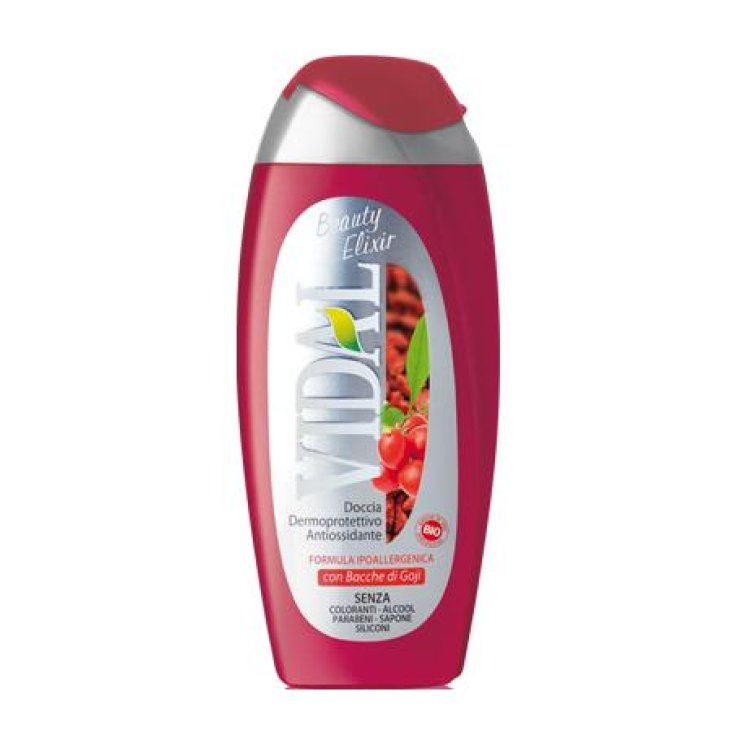 VIDAL D/S BAYAS DE GOJI 250 ML