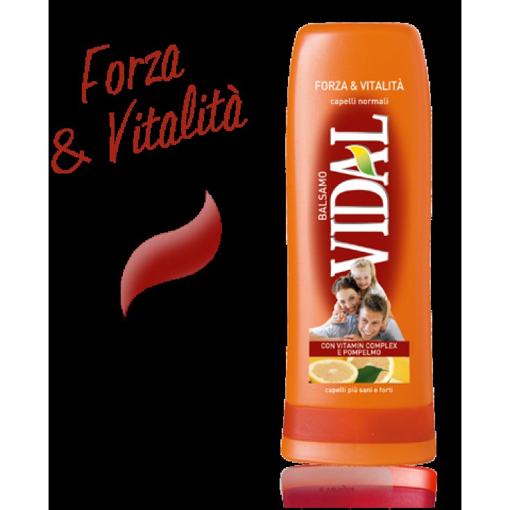 VIDAL FORZA Y BÁLSAMO VITAL 200 ML