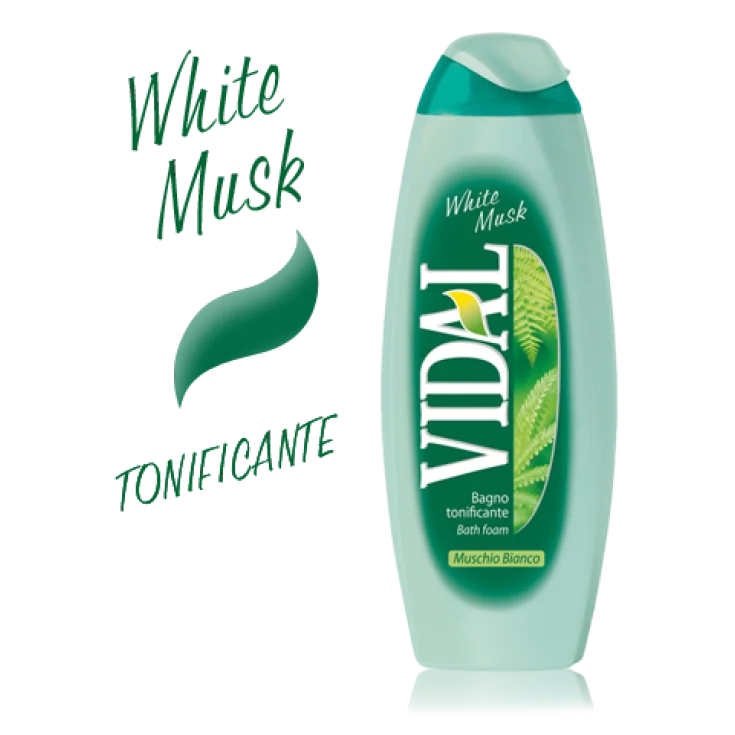 VIDAL B/S MUSK SALVAJE 500 ML