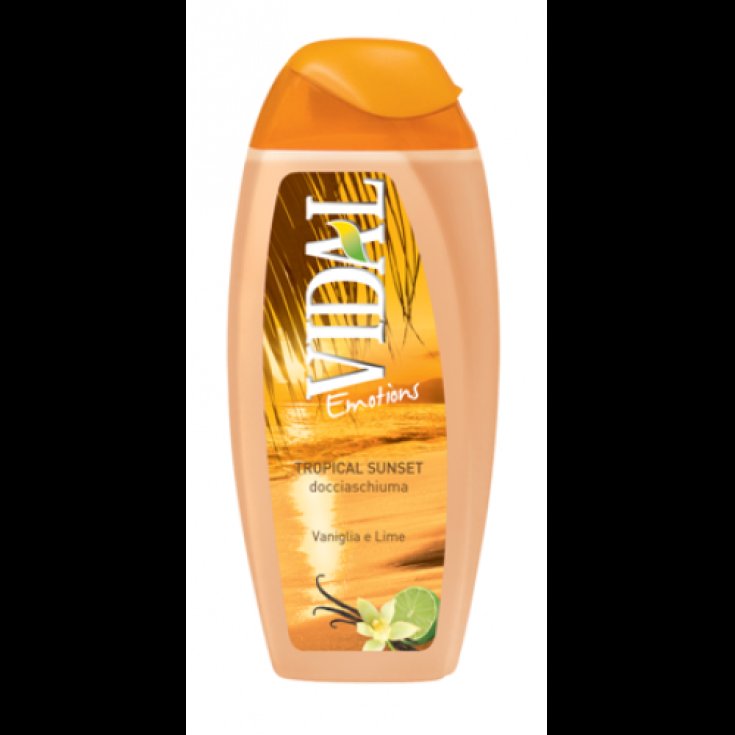 VIDAL B/S VAINILLA Y LIMA 500 ML