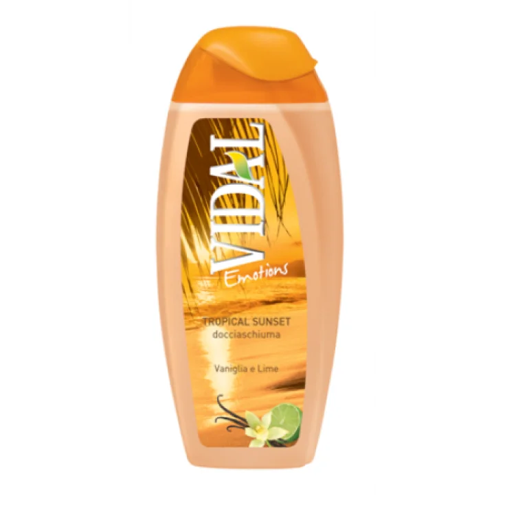VIDAL B/S VAINILLA Y LIMA 500 ML