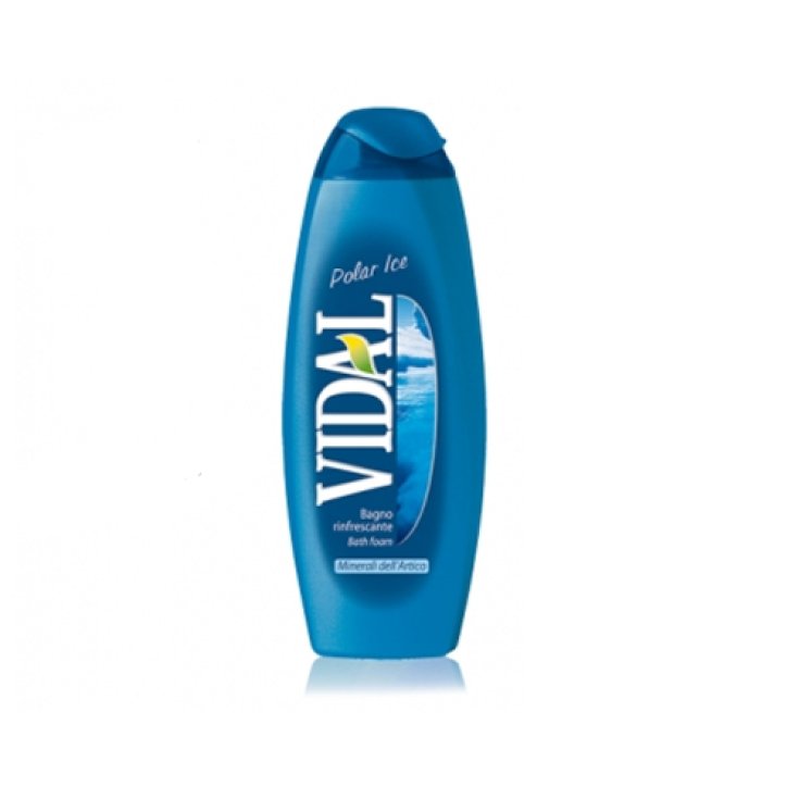 VIDAL B/S HIELO POLAR 500 ML