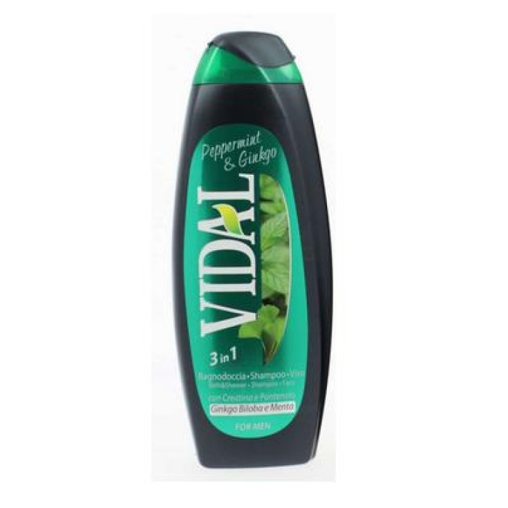 VIDAL B/S MENTA GINKGO 3EN1 5