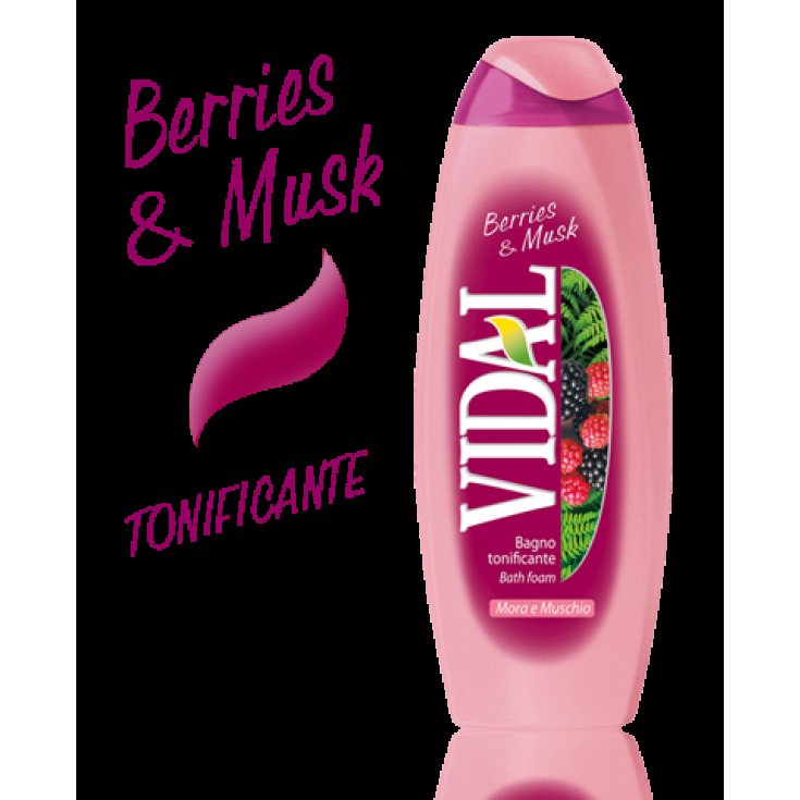 VIDAL B/S MORA Y MUSGO 500 ML