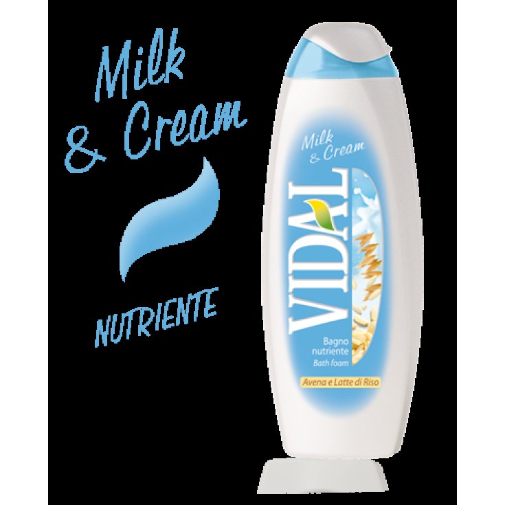 VIDAL B/S LECHE Y CREMA 500 ML