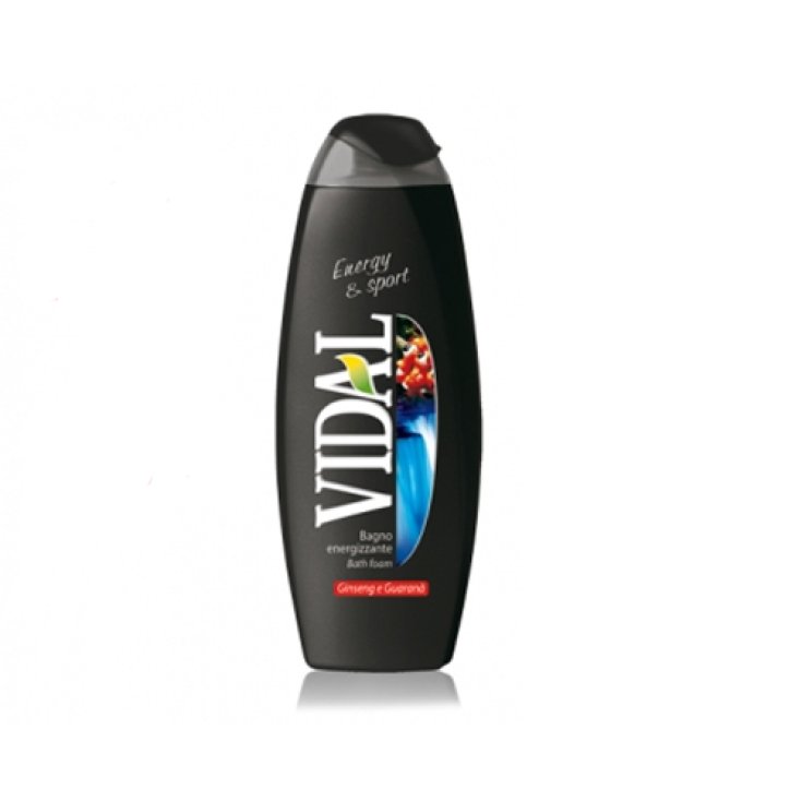 VIDAL B/S ENERGIA Y DEPORTE 500 ML