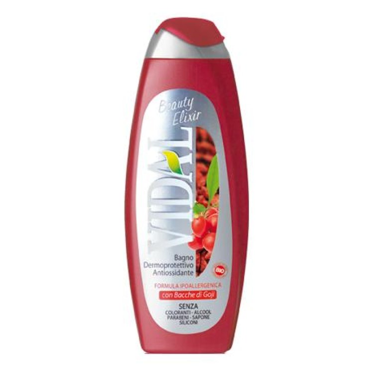 VIDAL B/S BAYAS DE GOJI 500 ML