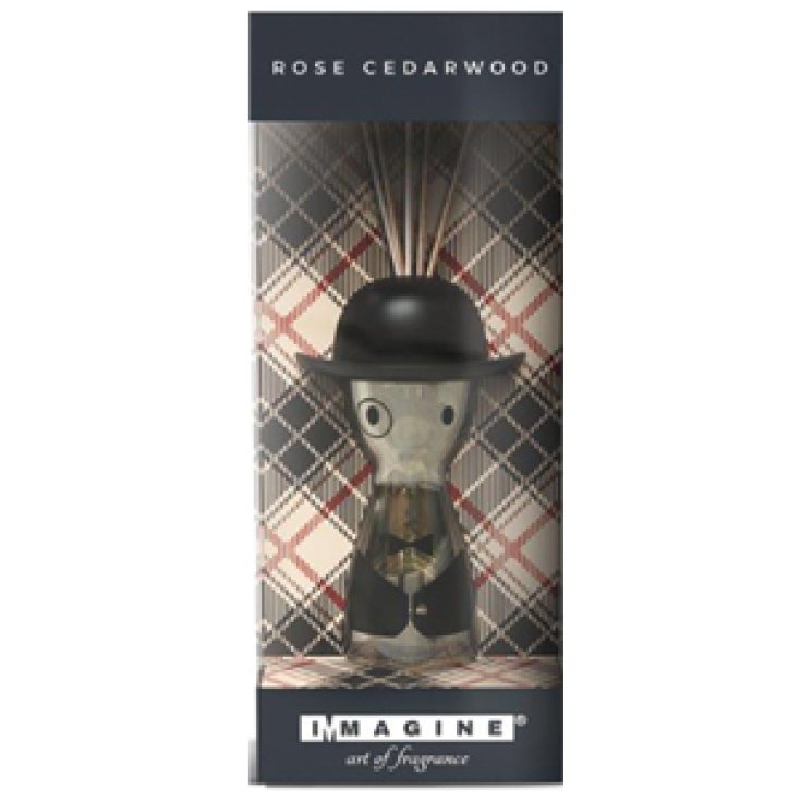 * ROSA CEDRO MUNDO HOMBRES