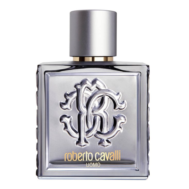 * CABALLOS HOMBRE PLATA EDT 100 VAPO