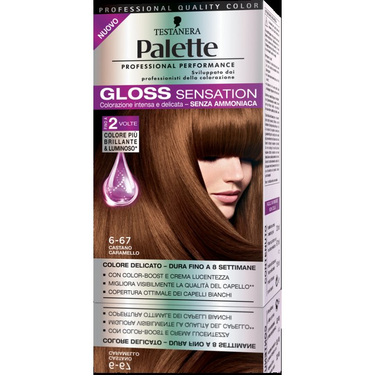 * PALETA GLOSS SENSATION 6-67 C/CAR