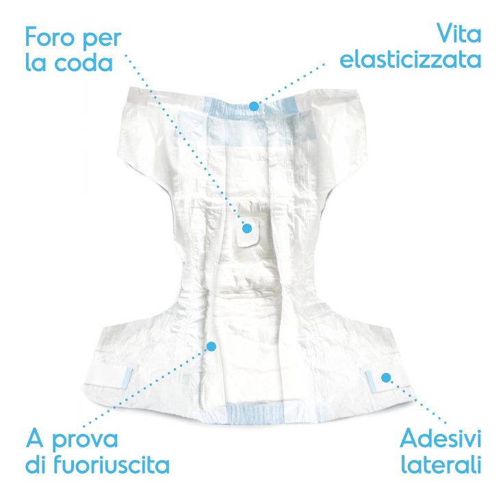 REGISTRO ABSORBIPIU 12 PAÑALES M 35-52 C