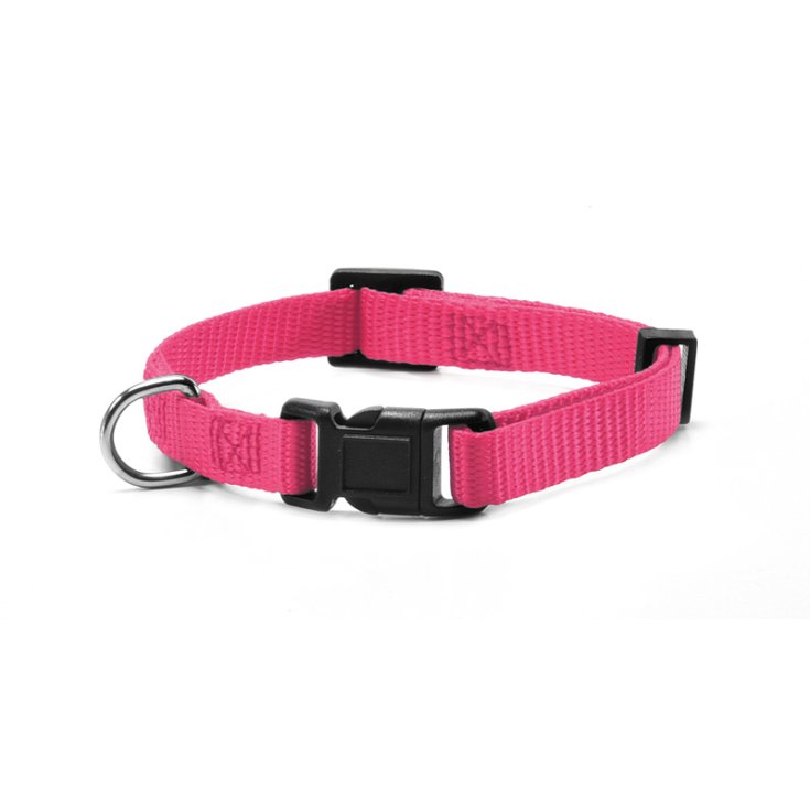 COLLAR RECORD NYLON CON CLIP ROSA M 2X4