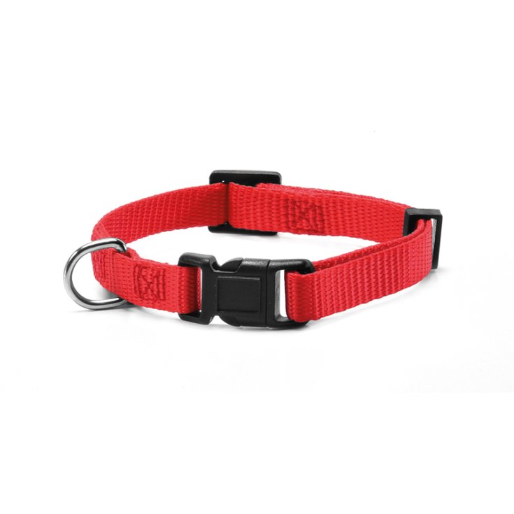 COLLAR RECORD NYLON CON CLIP ROJO 2X40