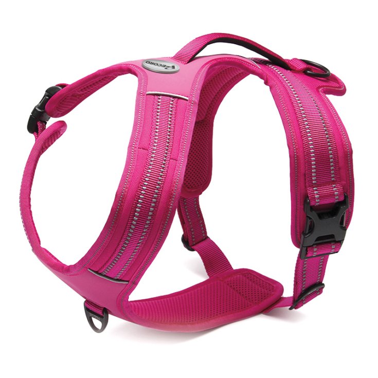 BABERO RECORD ACTION ALPI FUCSIA L 70