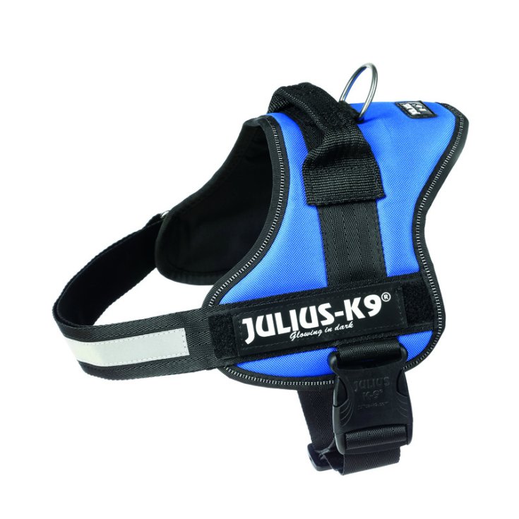 JULIUSK9 PETT 0/ML 5876/40 AZUL