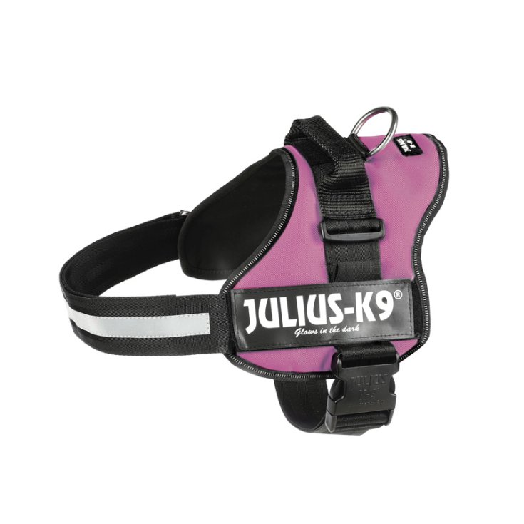 JULIUSK9 PETT ML 5876 FUCSIA