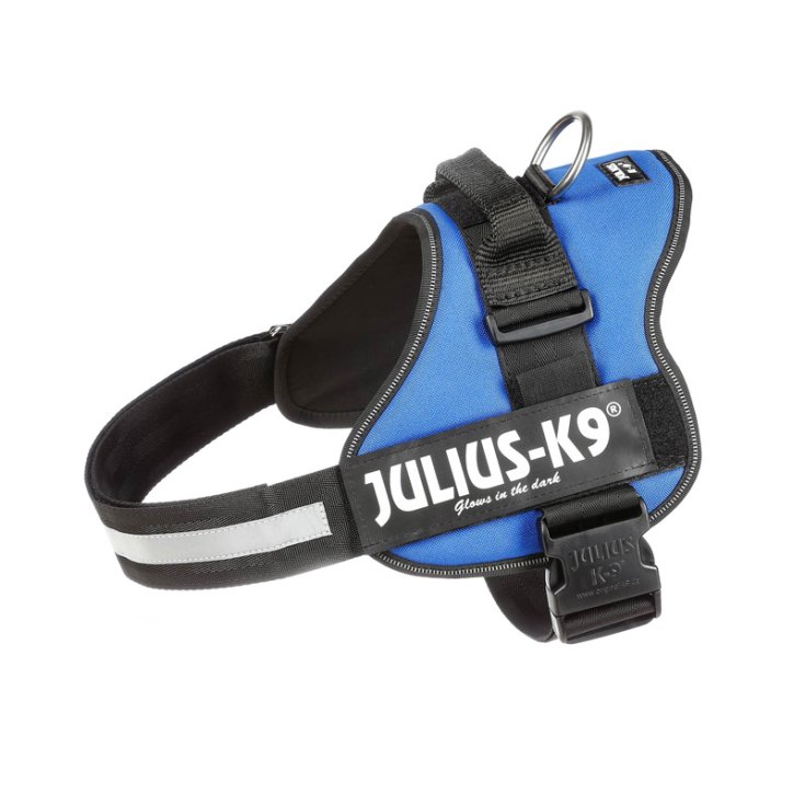 JULIUSK9 PETT LXL 7196 AZUL