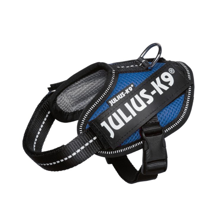 JULIUS K9 ARNES POWAIR AZUL XXS 2 5 K