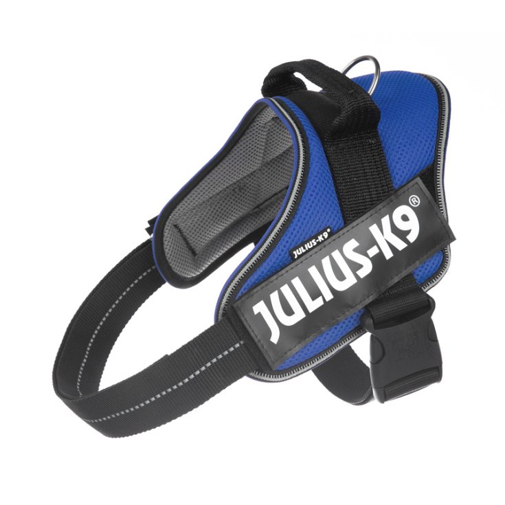 JULIUS K9 ARNES POWAIR AZUL L 23 30 K