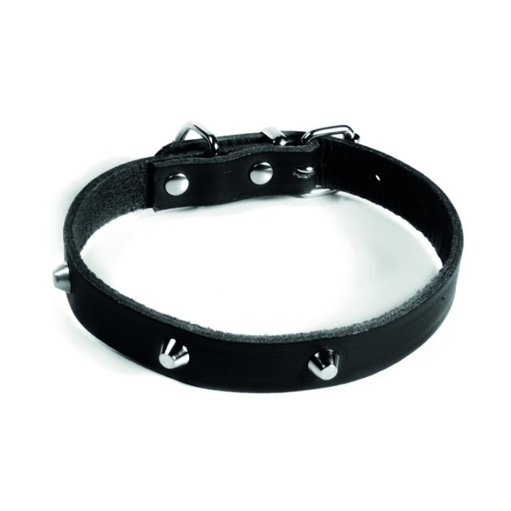 COLLAR DISCO CON TACHUELAS NEGRO 2,5X50 C