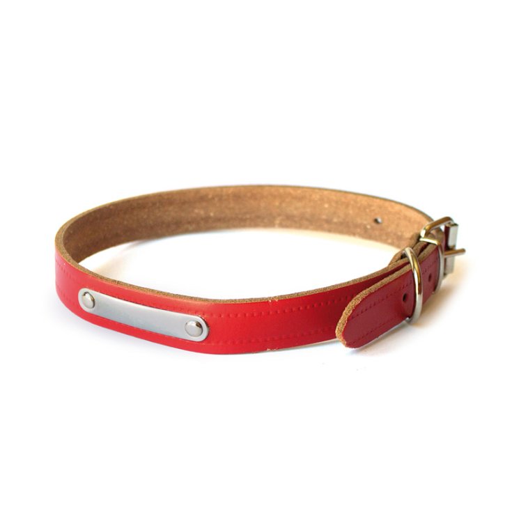 COLLAR DISCO CON PLACA ROJA 3,5X6