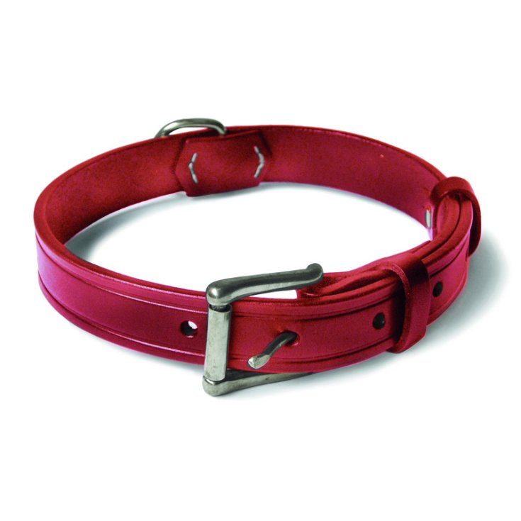 COLLAR PIEL COSPIZADA RECORD ROJO 2X50 C