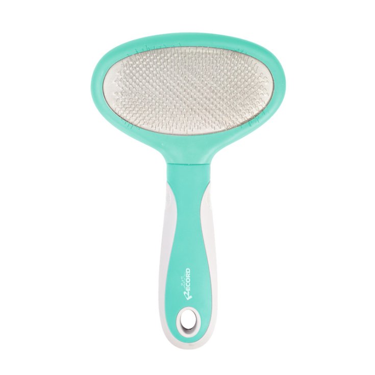 RECORD HAIRMONY TARJETA OVALADA L 12.5X1